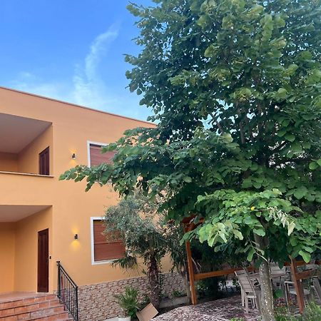 Vila Magis Vlorë エクステリア 写真