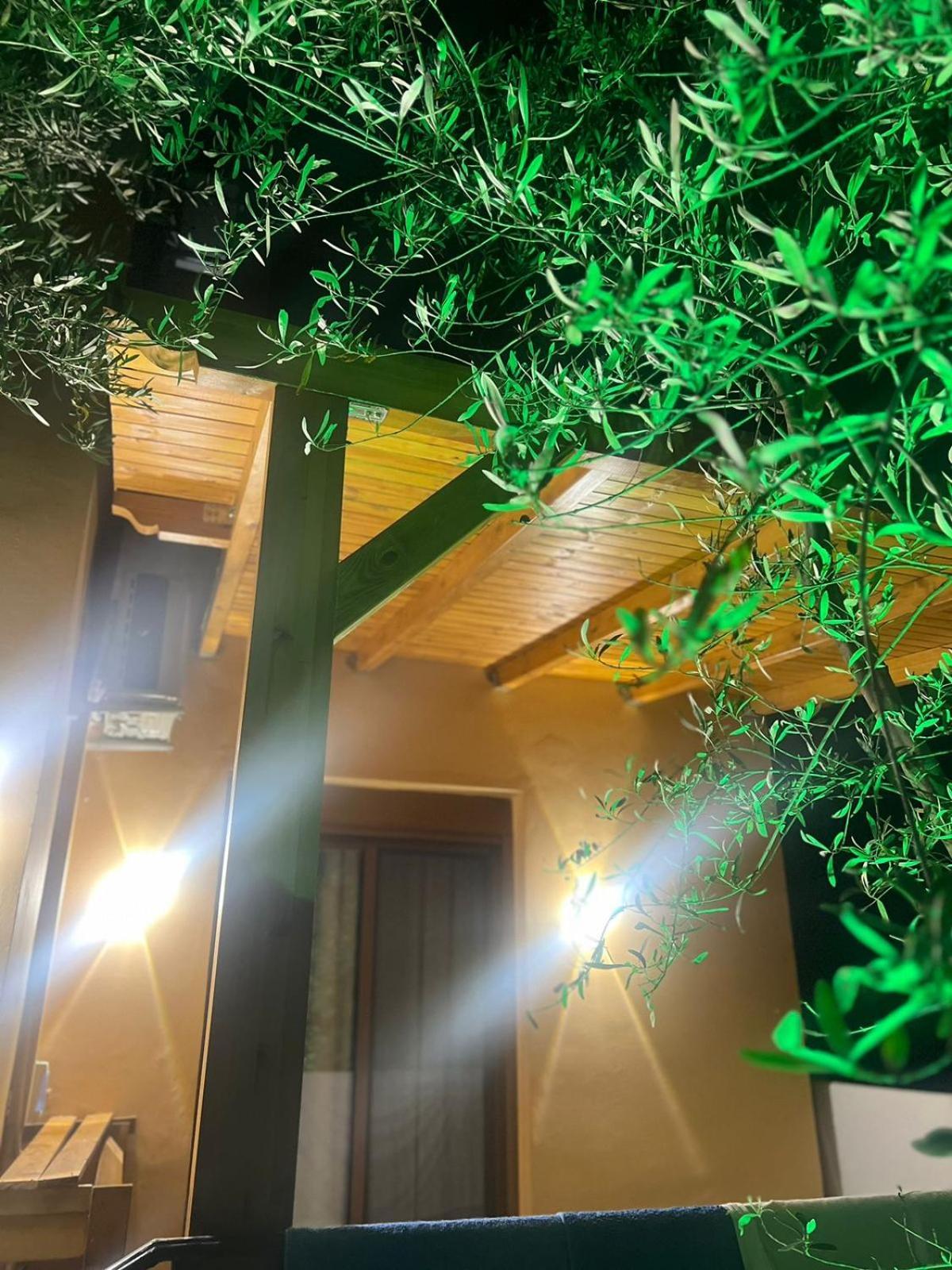 Vila Magis Vlorë エクステリア 写真
