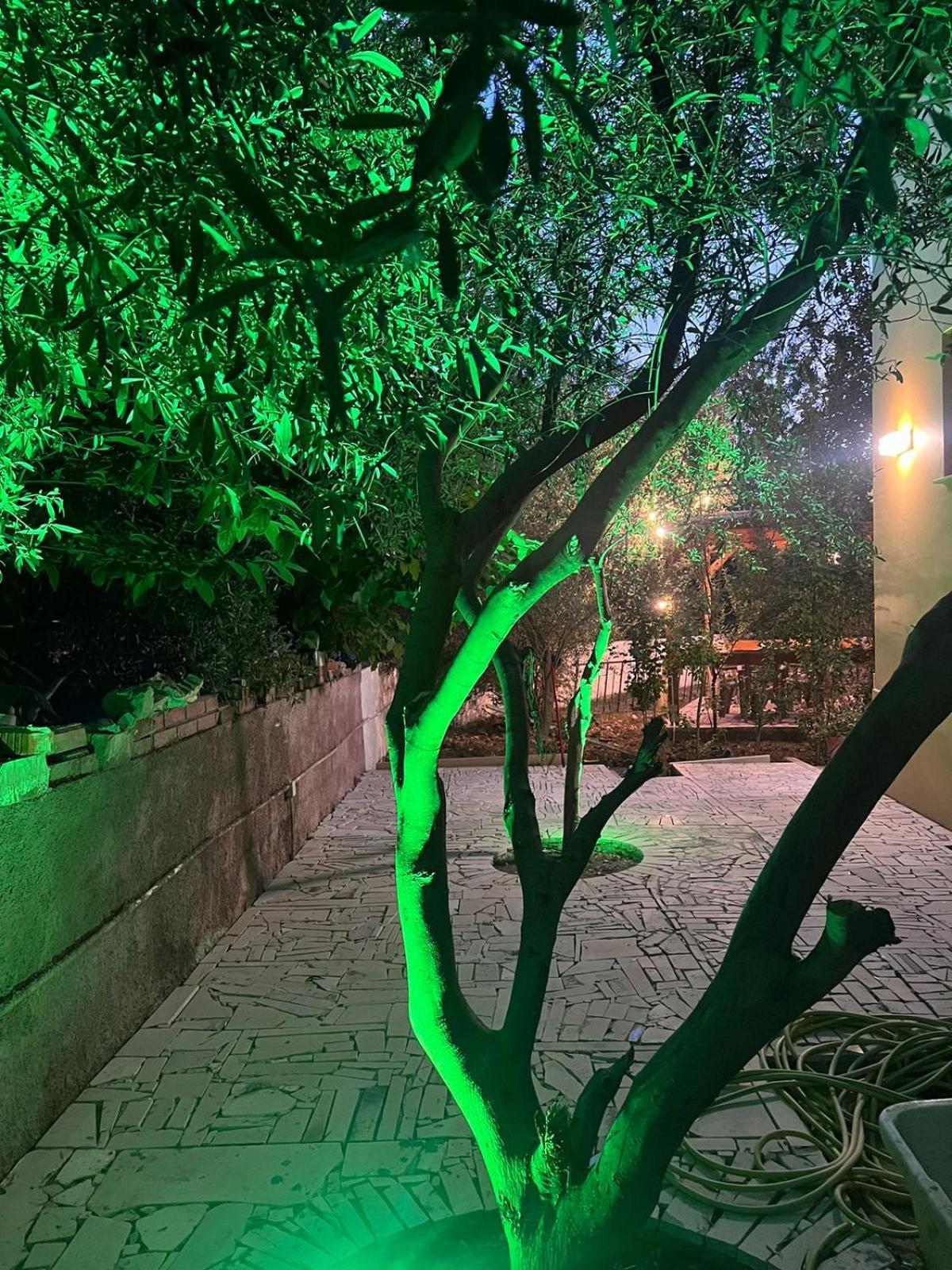 Vila Magis Vlorë エクステリア 写真