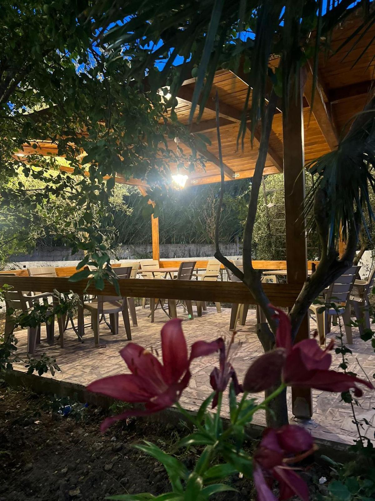 Vila Magis Vlorë エクステリア 写真